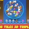 Matching Tiles 3D Triple Match